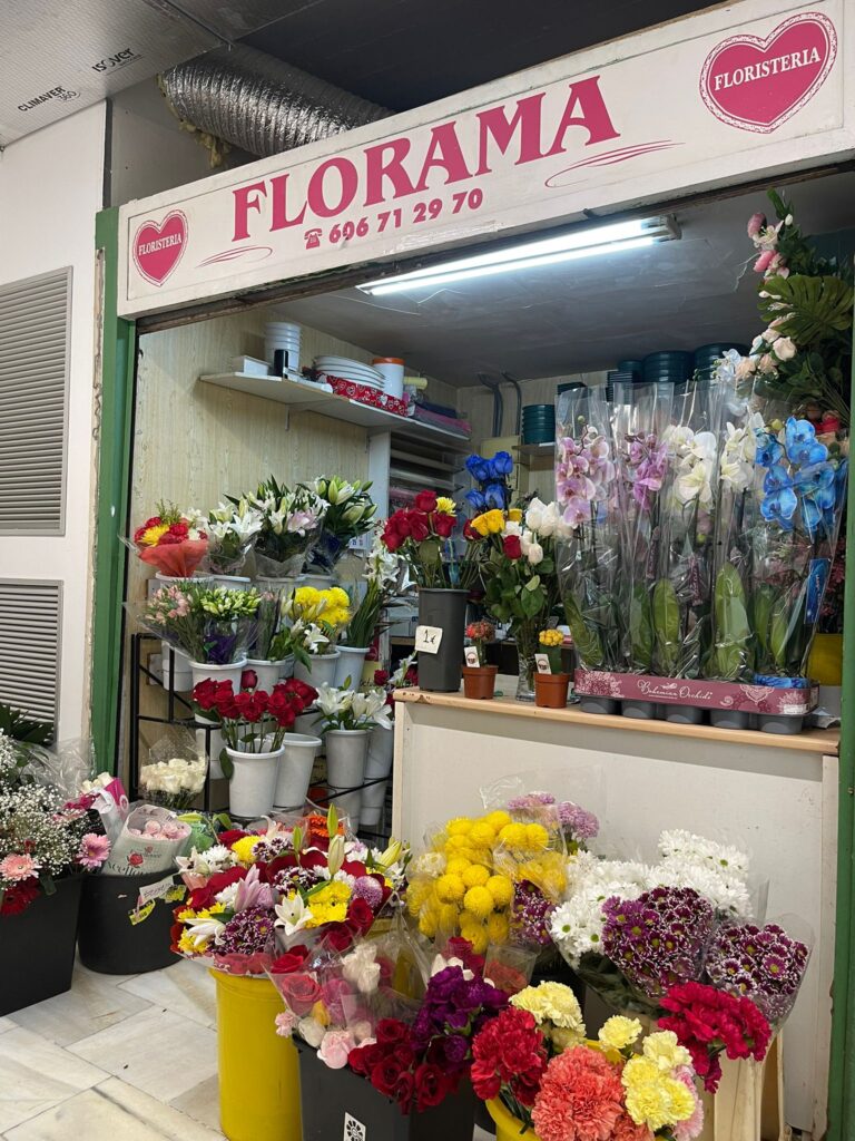 whatsapp image 2025 11 19 at 23.12.34 (1)