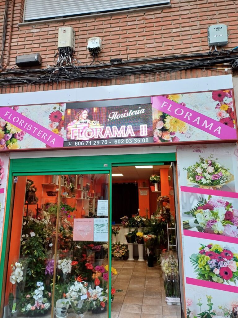 whatsapp image 2025 11 19 at 23.12.34