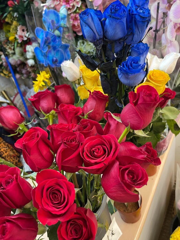 whatsapp image 2025 11 19 at 23.34.57