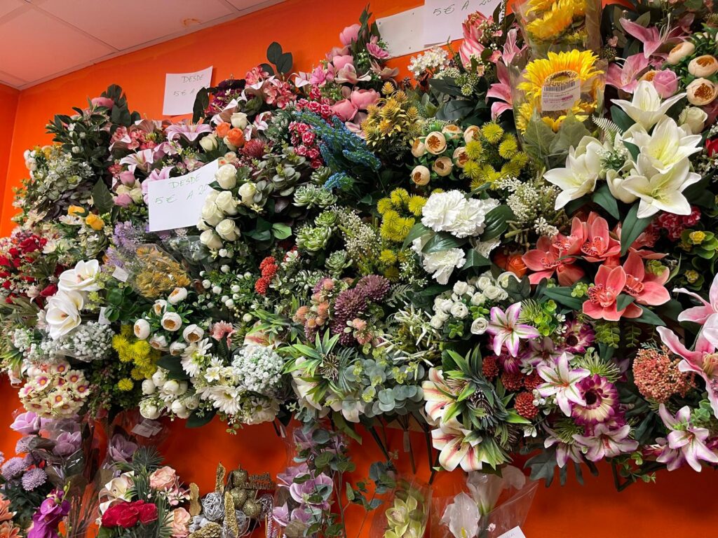 whatsapp image 2025 11 19 at 23.36.21