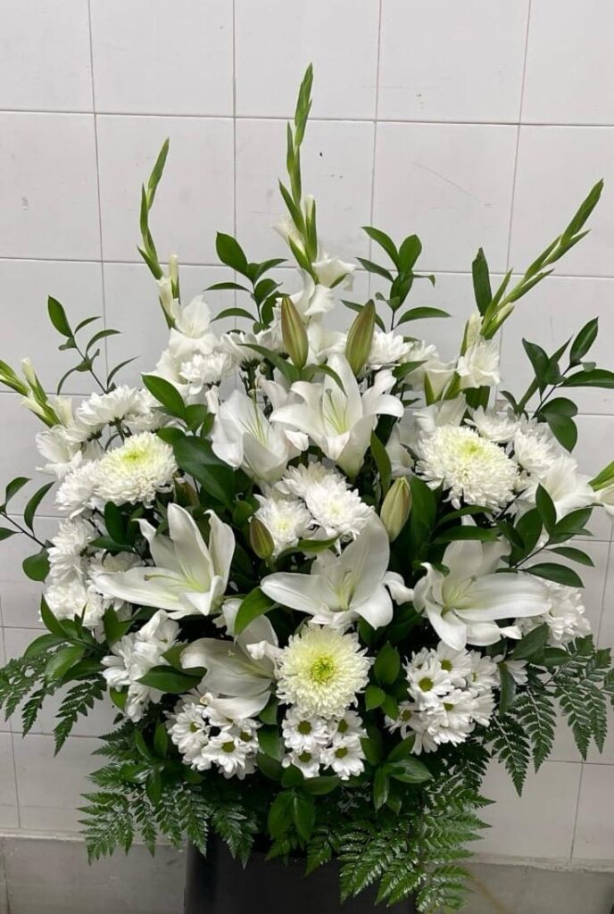 whatsapp image 2025 11 19 at 23.37.55